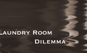 Laundry Room Dilemma Free Download