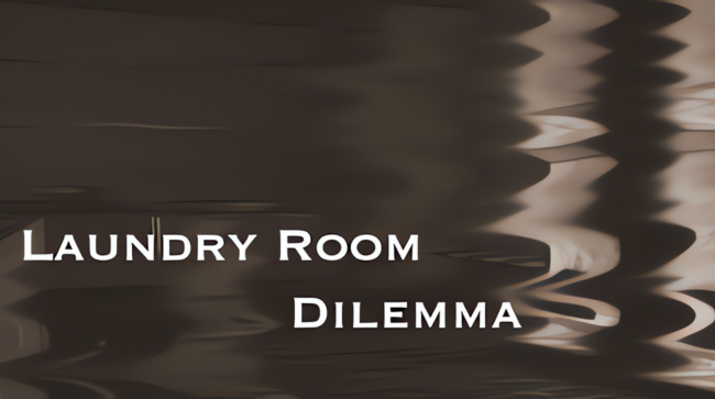 Laundry Room Dilemma Free Download